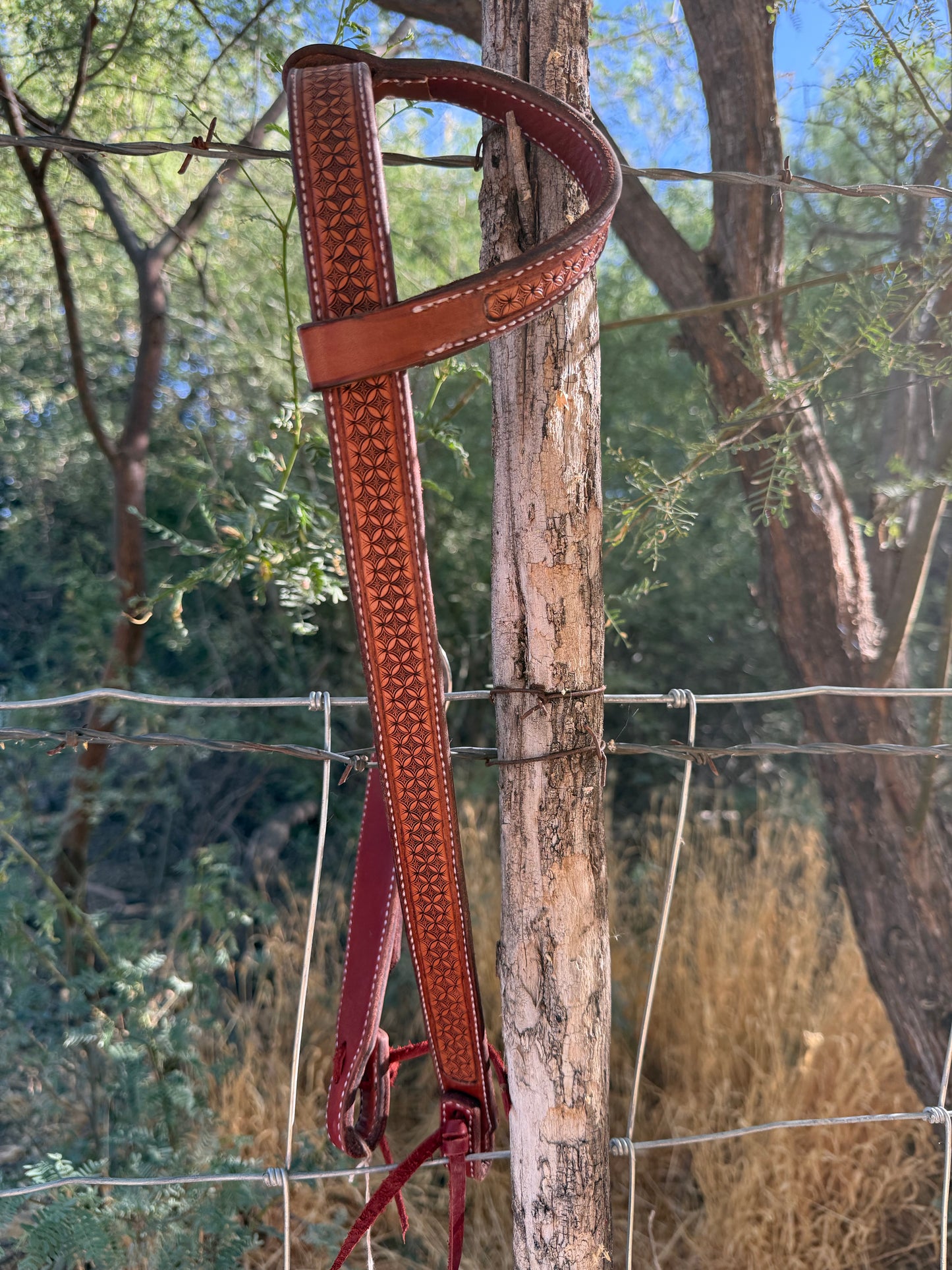 Headstall (small)