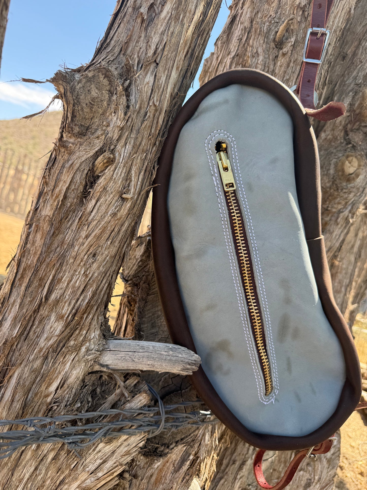 Cantle Bag
